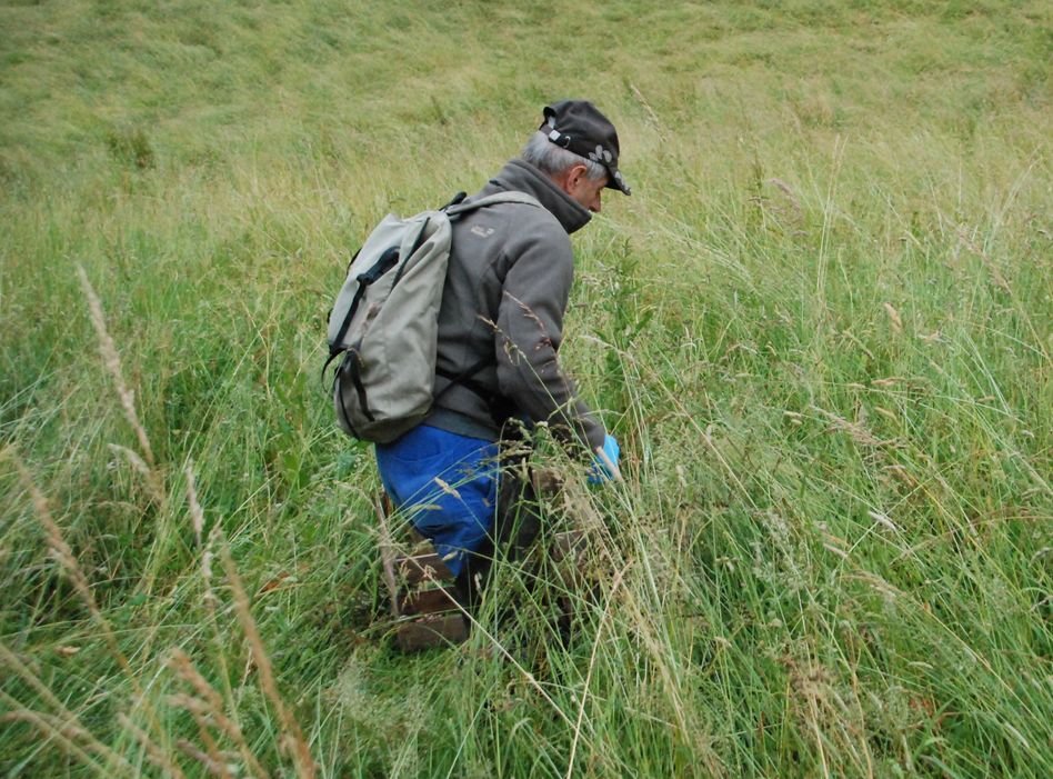 21 Rehkitze konnten 2023 vom sicheren Tod im hohen Gras gerettet werden