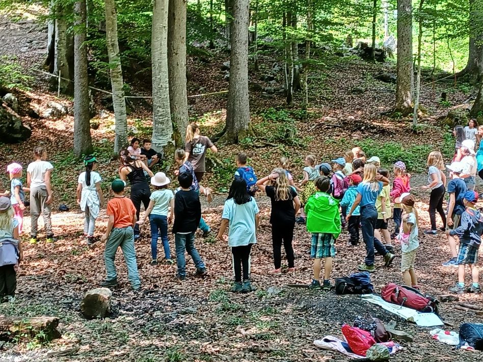 Wer tanzte da Ende Mai im Linthaler Wald? Das waren die Kinder und Lehrpersonen vom Kindergarten und der Primarschule Linthal während ihrer Waldwoche. (Fotos: Claudia Lienert)