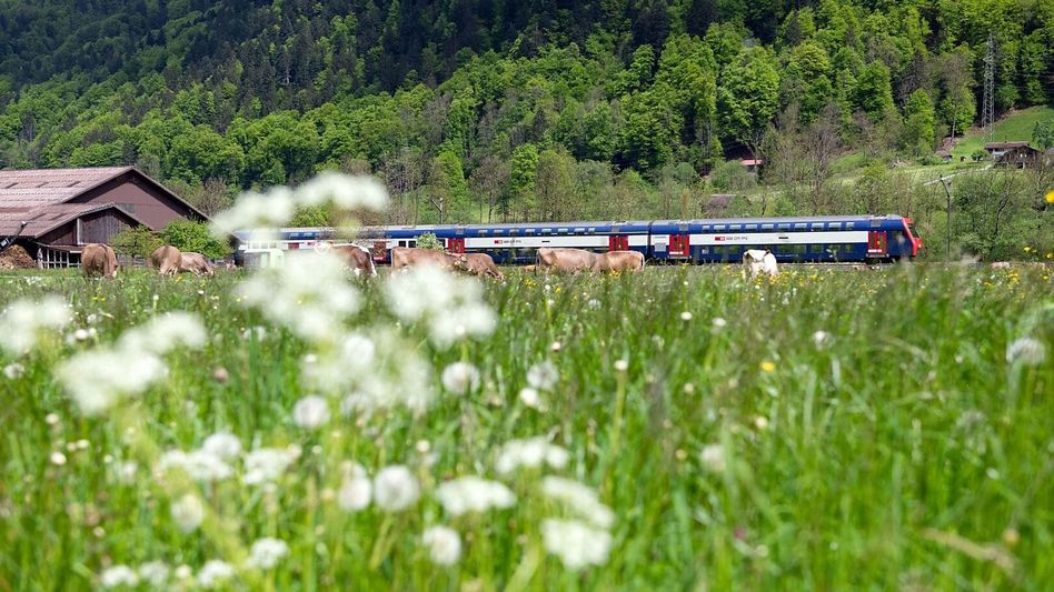 Der Direktzug zwischen Linthal und Zürich soll auch künftig fahren • (Foto: Maya Rhyner/Visit Glarnerland)