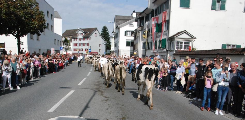 Alpabfahrten im Glarnerland sind gelebtes Brauchtum
