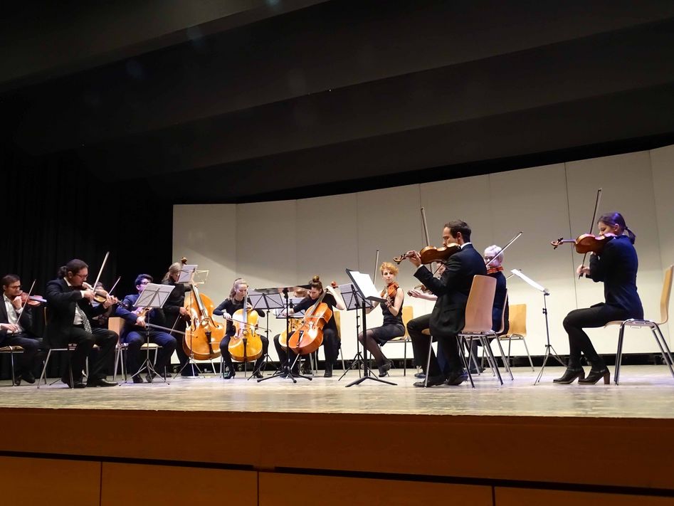 Impressionen vom Konzert des Neuen Zürcher Orchesters (Bilder: p.meier)