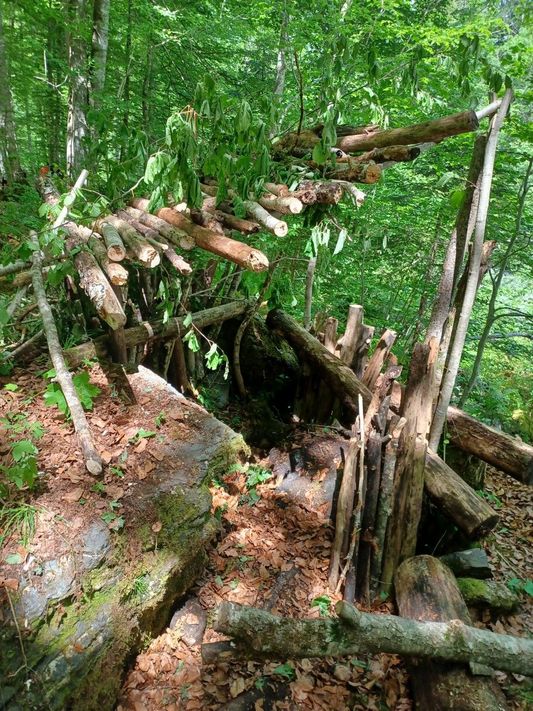 Viel Lehrreiches für Körper und Geist während der Waldwoche. Dabei bauten einige Schul- und Kindergartenkinder ansehnliche Waldhütten.