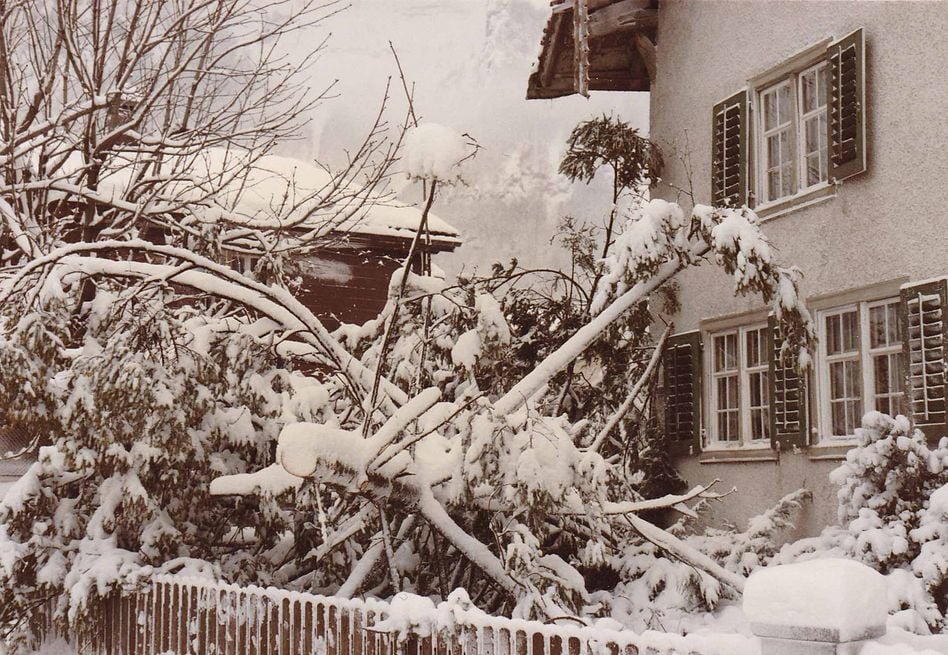 Fotos von Schäden, welche Staublawinen in den Jahren 1973 und 1986 anrichteten (Archivbilder: hasp)