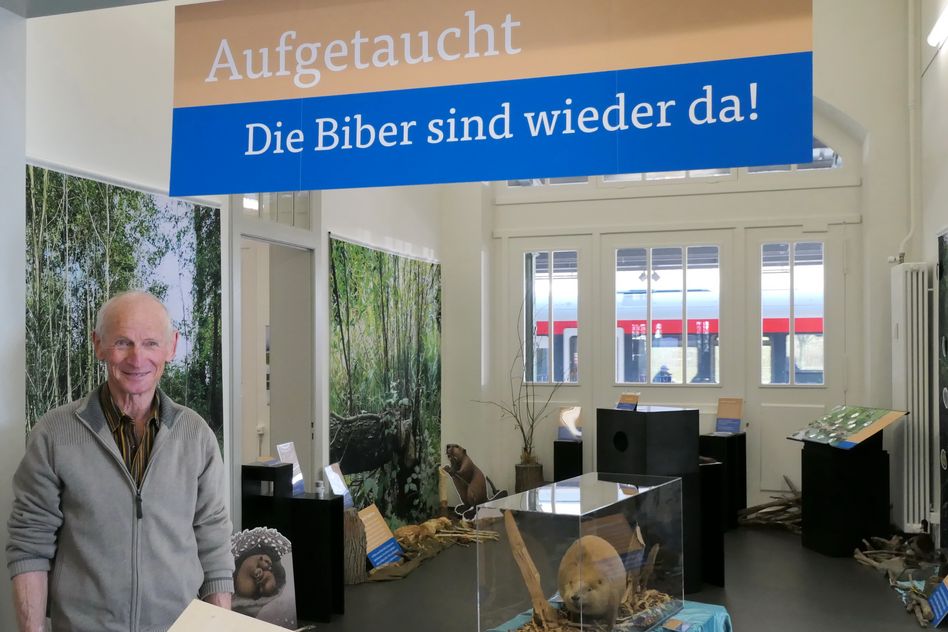 Biberkenner Andreas Meyer führt in einem kurzen Film durch die aktuelle, aber wegen Corona noch bis Ende Februar geschlossene Biber-Ausstellung im Naturzentrum Glarnerland. (Foto: Naturzentrum Glarnerland)