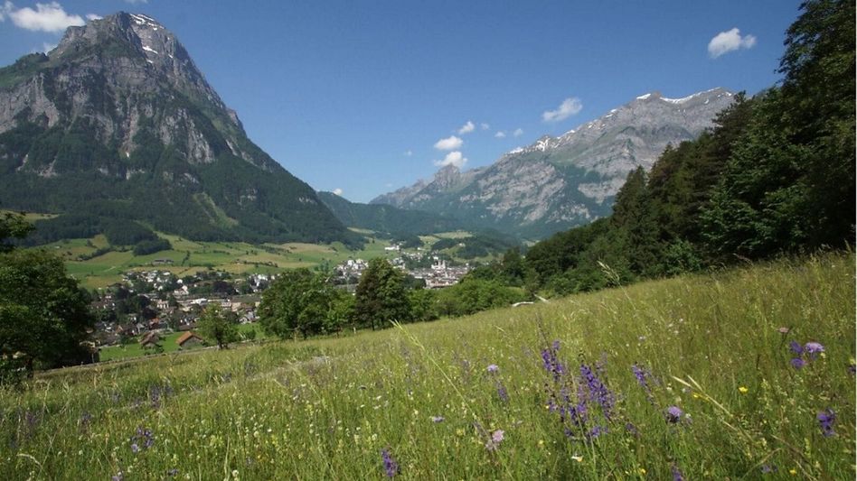 Ein Netzwerk von Flächen wie z.B. hier mit Blick von Ennetrösligen nach Glarus mit einer artenreichen Trockenwiese, Wald und Waldrand sichert die Lebensräume für Tiere und Pflanzen. (Foto: Fridli Marti)