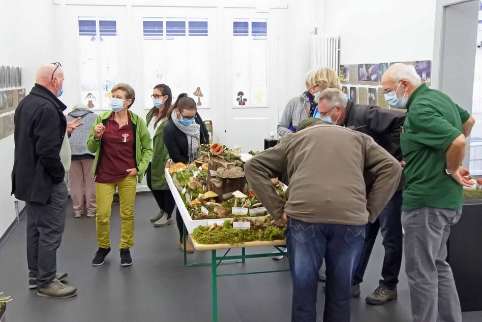 Das Interesse für die Pilzausstellung war riesig. (Bilder: hasp)