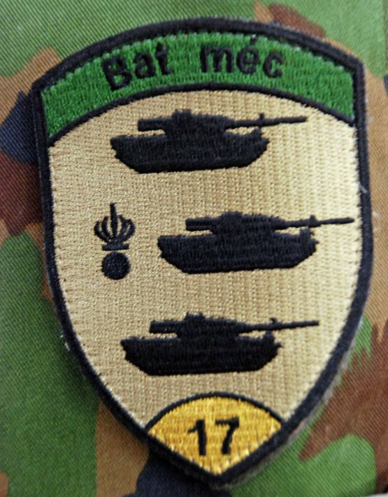 Das Bataillons-Emblem des Bat méc 17