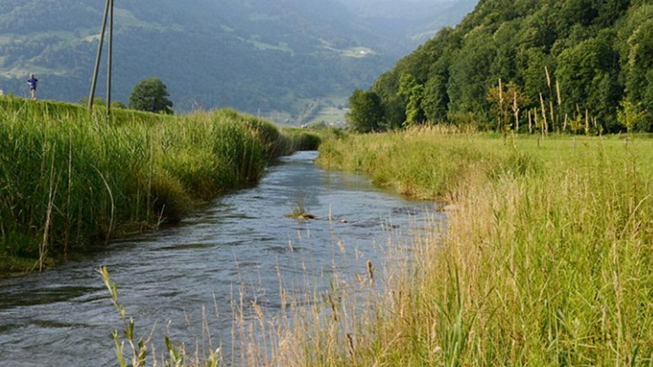 Mit dem neuen Goldbach, der durch das Kundertriet führt, hat die Linth bereits ein ökologisch wertvolles Seitengewässer erhalten • (Foto: Linthverwaltung)