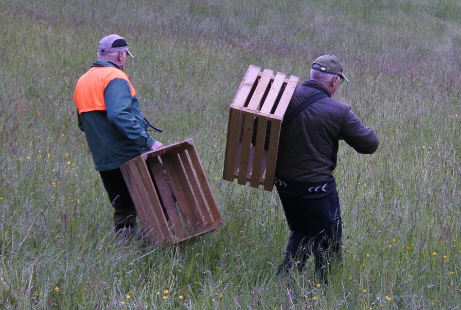 Jack und Jimmy Trümpi mit Holzkisten bewaffnet auf der Suche nach den Rehkitzen