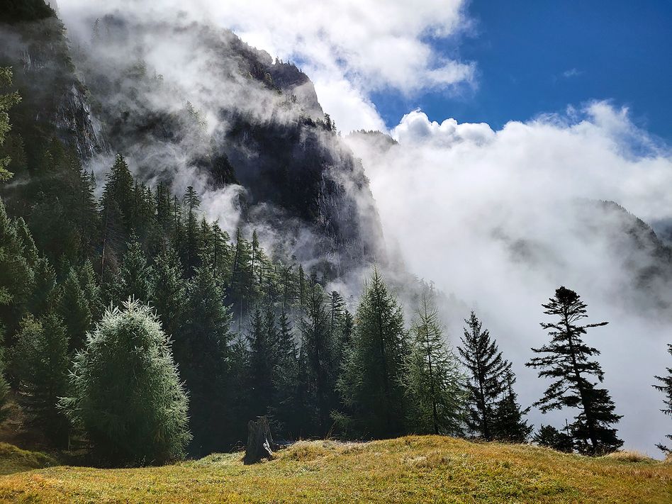 Das Bergwaldprojekt bietet auch in diesem Jahr wieder über 160 Projektwochen an rund 52 Orten in der ganzen Schweiz an (Bilder zvg)