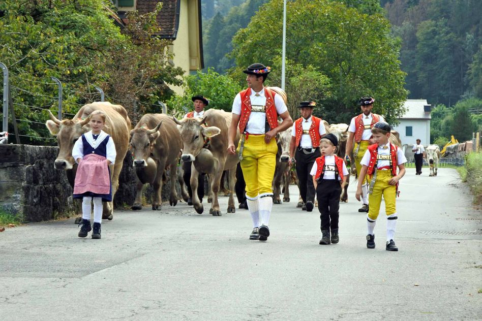 Älpler Marco Huser von der Hinterschlattalp zelebriert als einziger im Kanton eine Toggenburger Alpabfahrt