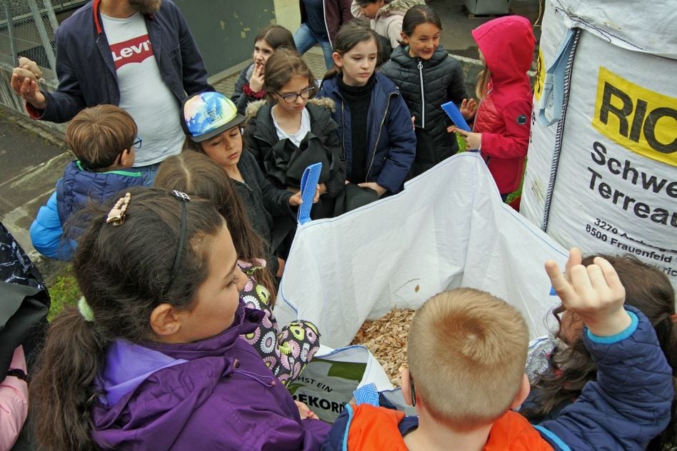 Netstaler Schüler pflanzen Kartoffeln für einen Weltrekord