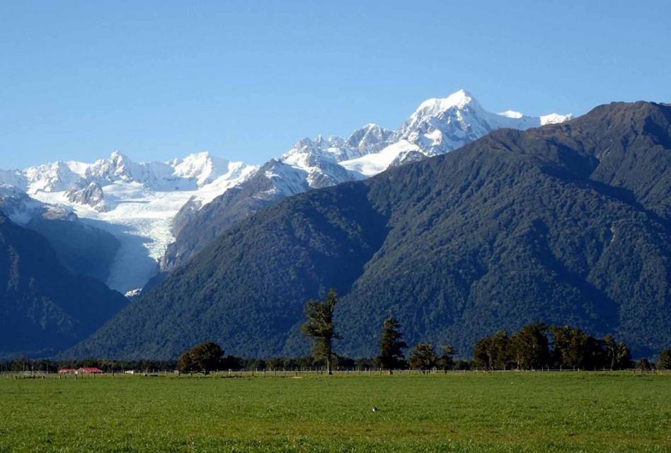 Wintertag im Juli. Die Natur schert sich nicht um unsere Gesundheitssorgen. (Bilder: Heiri Kaspar, Nelson Neuseeland)