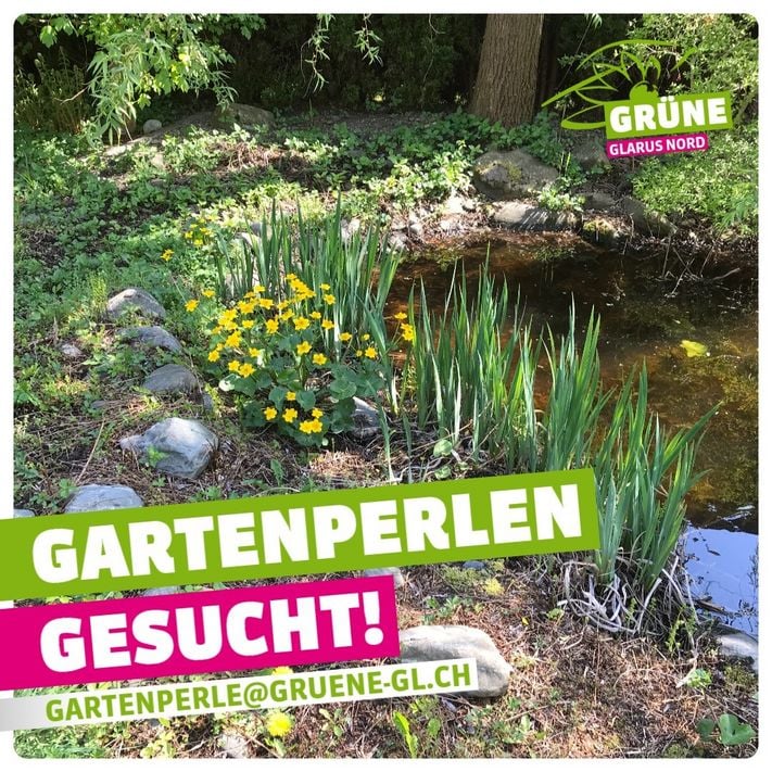 Sammle stimmungsvolle Frühlingsbeobachtungen in deinem Garten und auf deiner Balkonoase und schicke dein bestes Foto auf gartenperle@gruene-gl.ch. (zvg)