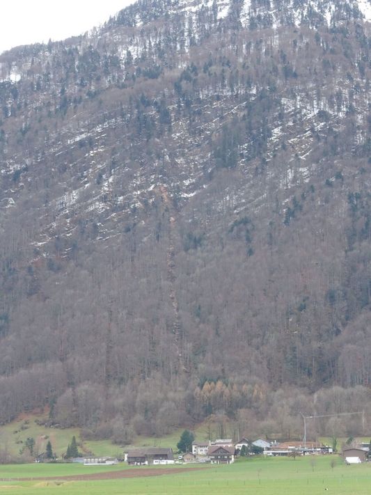 Das Foto (zvg) zeigt die Schneise, die der Steinschlag durch den Wald schlug.