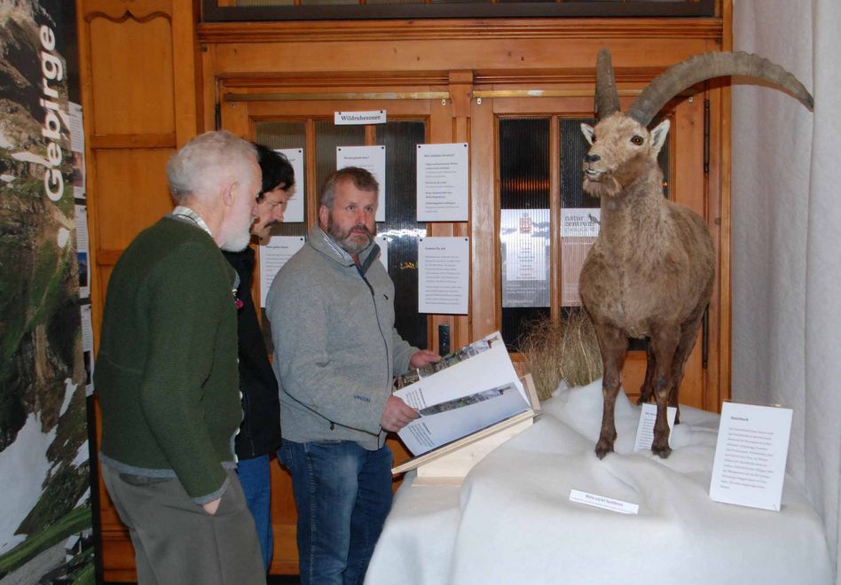 Grosses Interesse an der Ausstellung auch bei den Jägern (Bilder: hasp) Wunderschöne Exponate