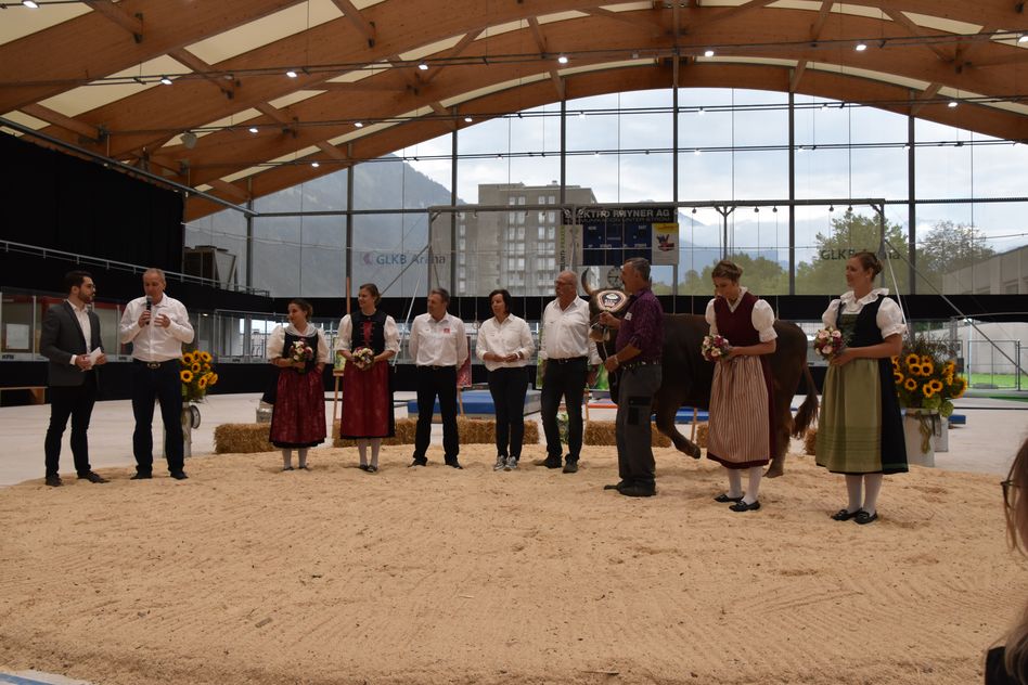 Der Siegermuni wurde in der GLKB-Arena in Glarus auf den Namen «Zibu» getauft. (Bilder: e.huber)
