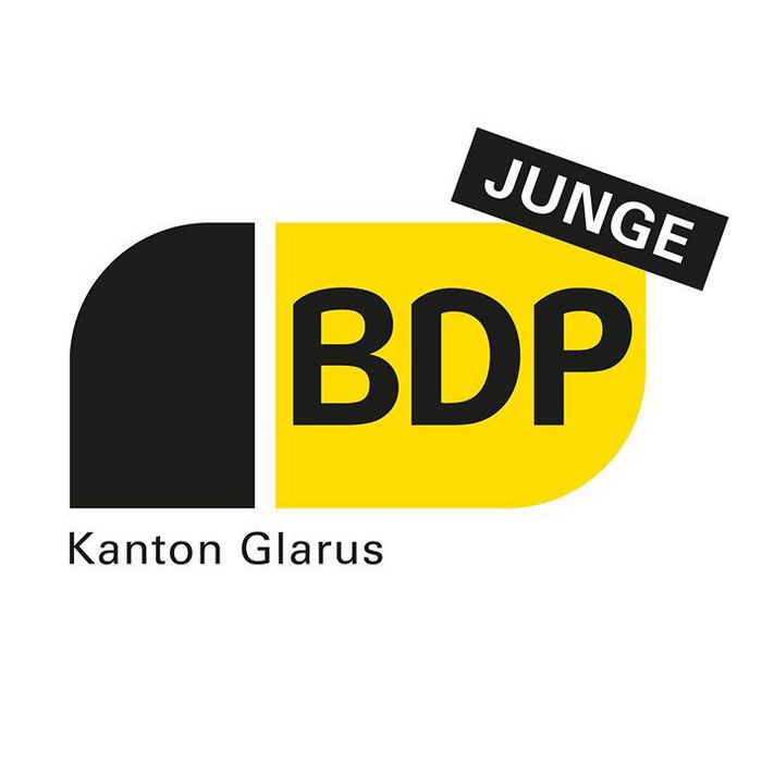 Morris Kistler wird neuer Präsident der Jungen BDP (zvg)