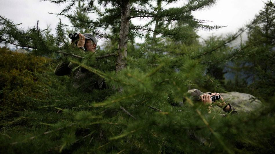 Zwei Jäger mit Fernglas lauern dem Wild auf • (Foto: Keystone-SDA)