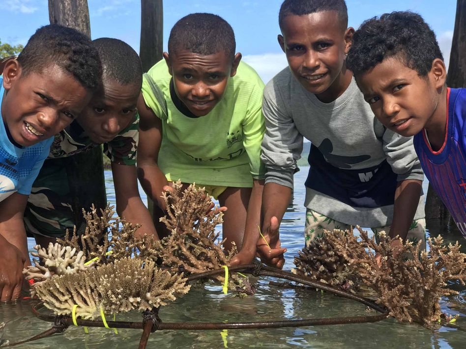 Die Schüler errichten ihren eigenen Korallengarten