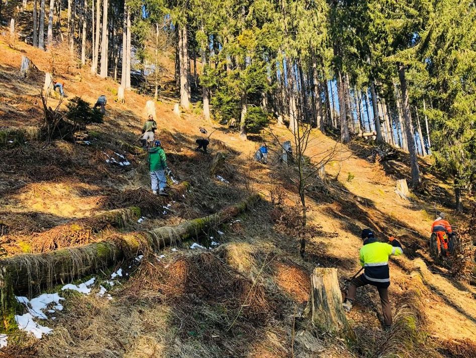500 Bäumen für den Schutzwald in Glarus Süd. (Bilder: zvg)