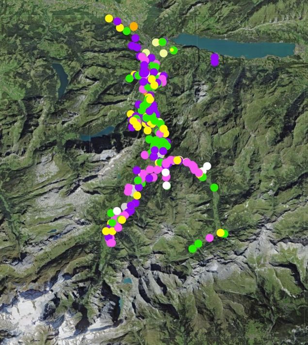 Interessierte können mithelfen, die Verbreitung der invasiven Neophyten im Kanton Glarus auf einer Melde-Plattform zu erfassen. (Abbildung © Kanton Glarus)