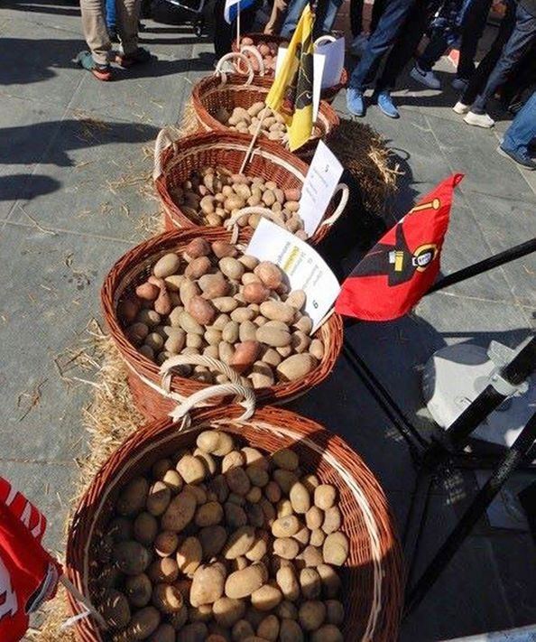 Kartoffeln aus em Glarnerland