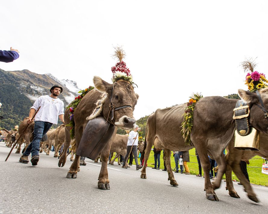 Der Glarner Alpchäs- und Schabziger-Märt findet dieses Jahr neu im Dorfzentrum statt (Foto: Tenzin Rawog).