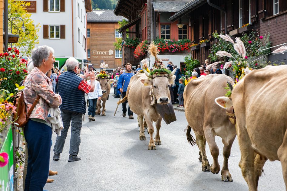 Der Glarner Alpchäs- und Schabziger-Märt findet auch dieses Jahr im Dorfkern von Elm statt. (Foto: VISIT Glarnerland / Maya Rhyner)
