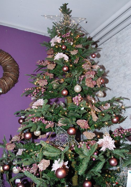 Traditionelles und Neues für Weihnachten und Advent