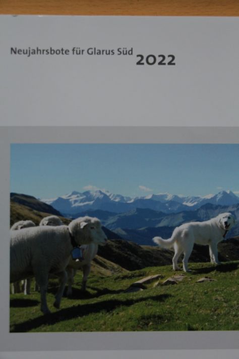 Neujahrsbote für Glarus Süd ist erschienen