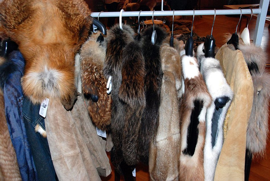 Jagdtrophäen und Jagdhunde waren die Hauptthemen am Glarner Pelzfellmarkt