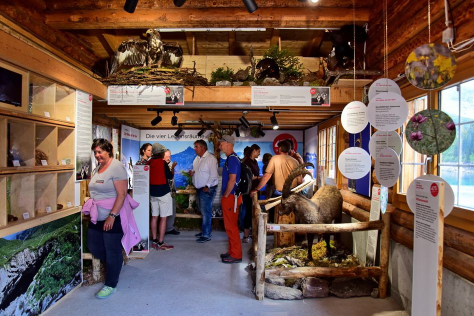 „Die Ausstellung beim Bootshaus am Mettmensee erfreut sich vieler Besucher“ (Bild: Ruedi Kuchen)