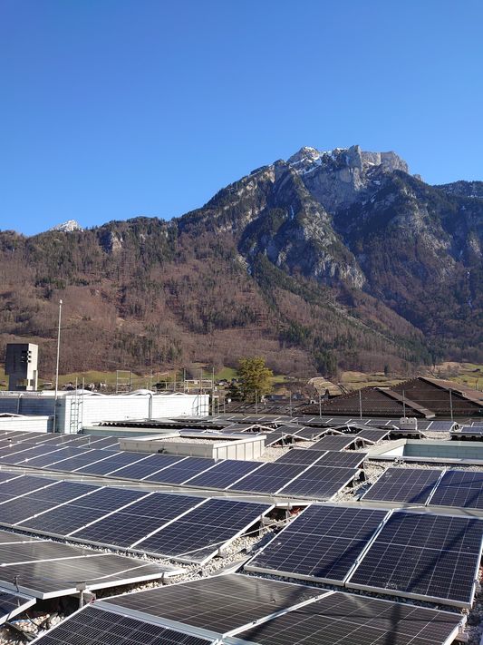 Die Solargemeinschaft Feldstrasse 1 in Glarus wurde bereits realisiert (Bild: zvg)