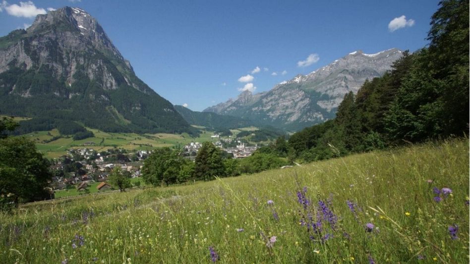 Die Ökologische Infrastruktur lässt ein Netzwerk für die Biodiversität entstehen wie hier zwischen Ennetrösligen nach Glarus mit einer artenreichen Trockenwiese am Waldrand • (Bilder: Fridli Marti)