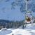 Wieder zum halben Preis Snowboarden, Skifahren und Schlitteln auf dem Abenteuerberg Braunwald (Bilder: maya rhyner)