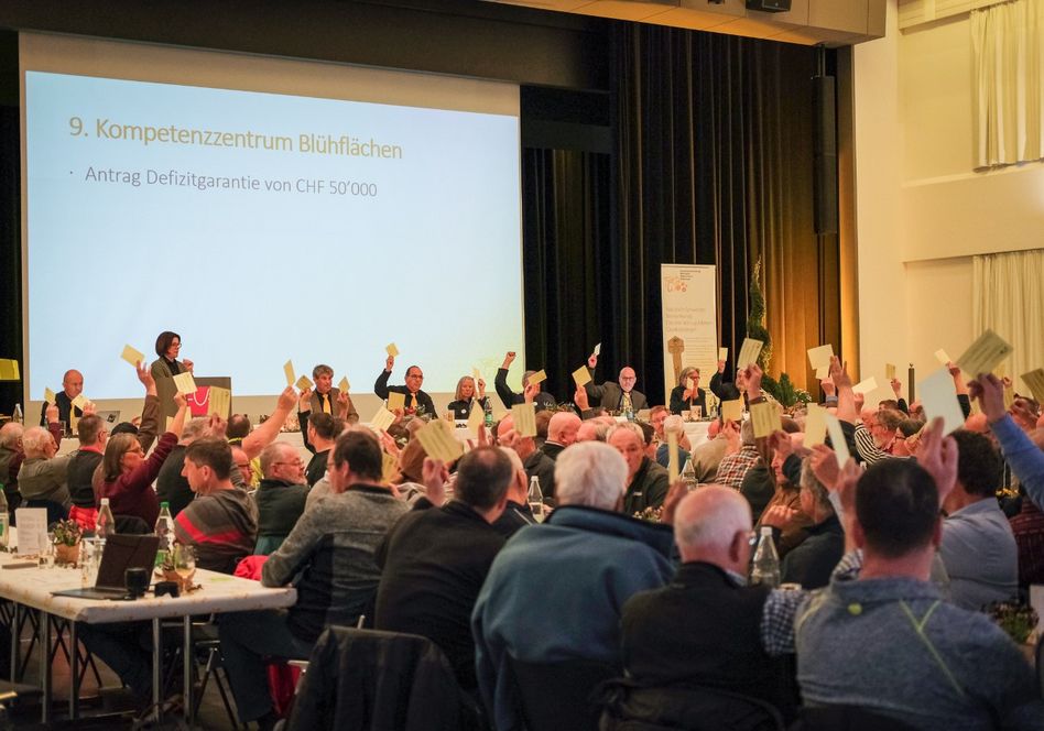 Die Delegierten von BienenSchweiz beschlossen einstimmig, das Projekt «Kompetenzzentrum Blühflächen3» finanziell zu unterstützen. (Bild zvg)