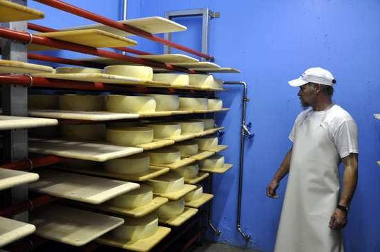 nach der Verarbeitung von 800 Liter Bio-Milch. (Bilder: ehuber) Das Käselager: Ruedi Luchsinger präsentiert im neuen Käselager die ersten Bio-Käse die anfangs Oktober produziert wurden. Vater Luchsinger hat soeben einen Käse aus dem Salzbad geholt (Bild: ehuber)