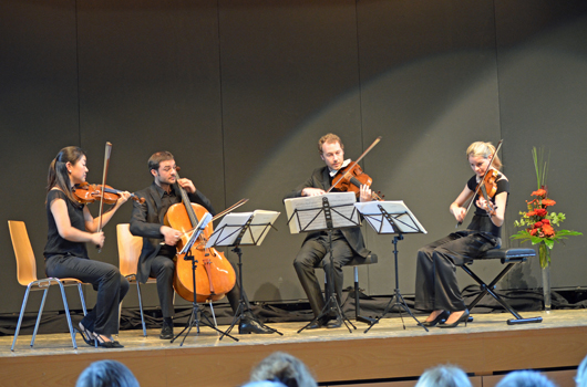 Bilder vom Novembermatinee in der Gemeindestube in Schwanden mit dem Galatea-Quartett. (Bilder: ehuber)