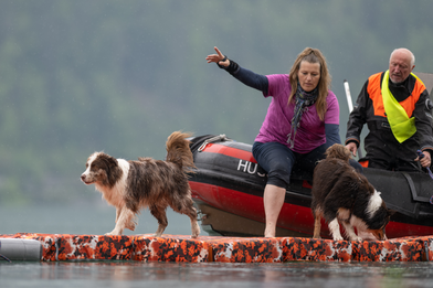 Wasserspiele. Ein gelungener Hunde-Event am Walensee. (Bilderrechte f: Andreas Trächslin)